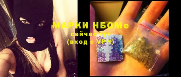 ПСИЛОЦИБИНОВЫЕ ГРИБЫ Новозыбков