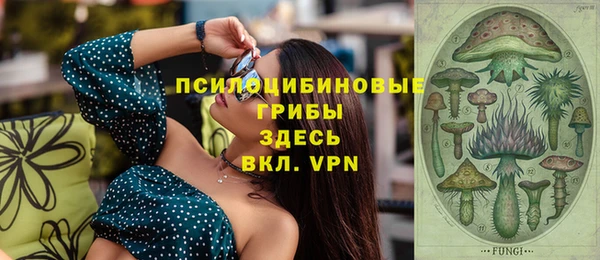 дживик Новокубанск