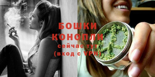 ПСИЛОЦИБИНОВЫЕ ГРИБЫ Новозыбков