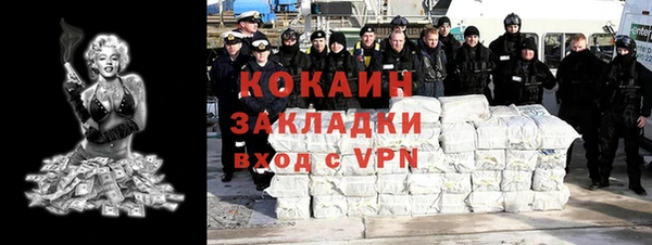 ПСИЛОЦИБИНОВЫЕ ГРИБЫ Новозыбков
