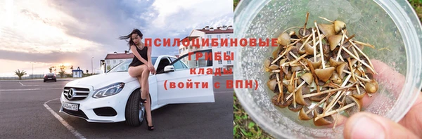 ПСИЛОЦИБИНОВЫЕ ГРИБЫ Новозыбков