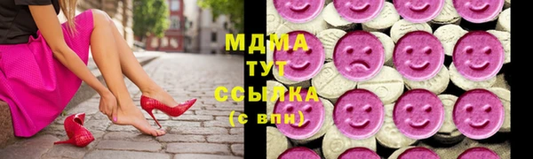 молекула духа Богданович