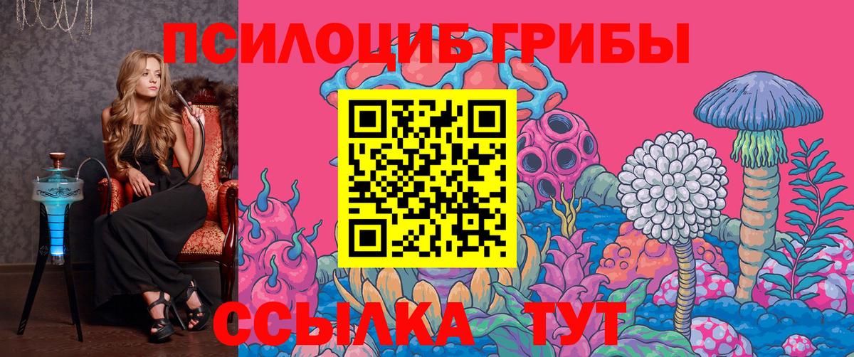 Барнаул  Псилоцибиновые грибы GOLDEN TEACHER  где купить наркоту  Вход с VPN 