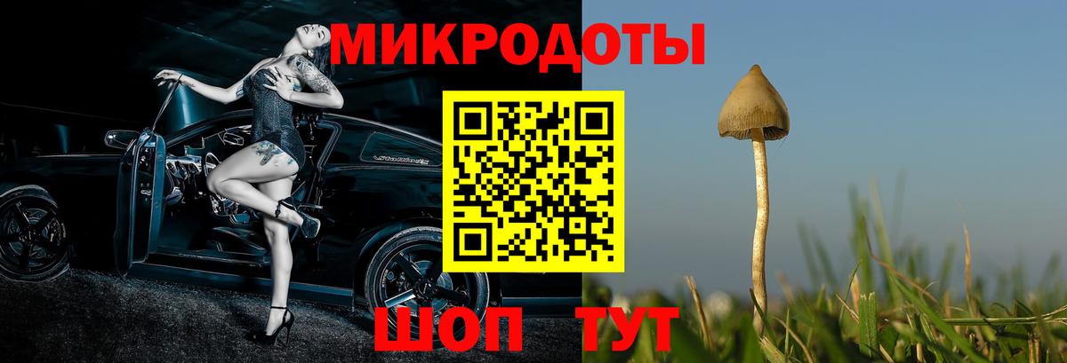 Галлюциногенные грибы GOLDEN TEACHER  Барнаул 